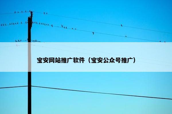 宝安网站推广软件（宝安公众号推广）