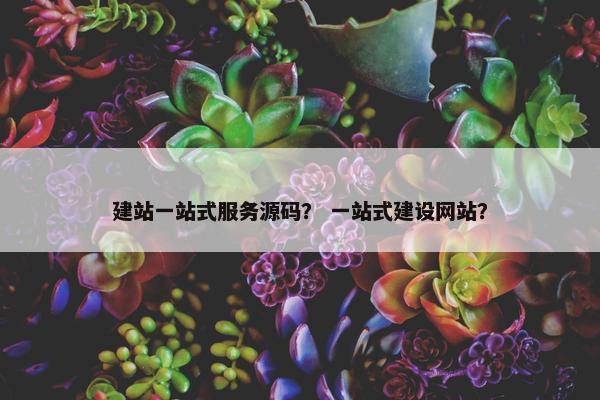 建站一站式服务源码？ 一站式建设网站？