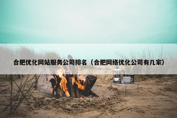 合肥优化网站服务公司排名（合肥网络优化公司有几家）