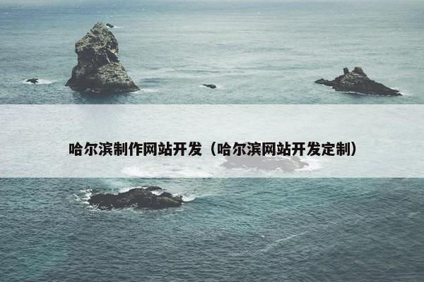 哈尔滨制作网站开发（哈尔滨网站开发定制）