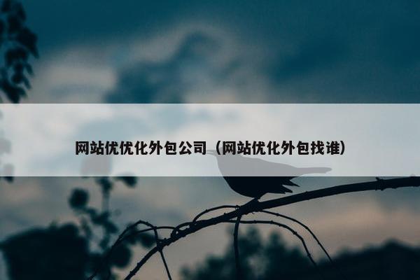 网站优优化外包公司（网站优化外包找谁）