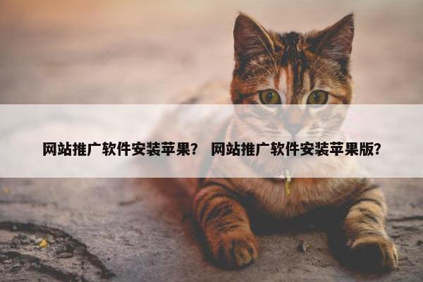 网站推广软件安装苹果？ 网站推广软件安装苹果版？