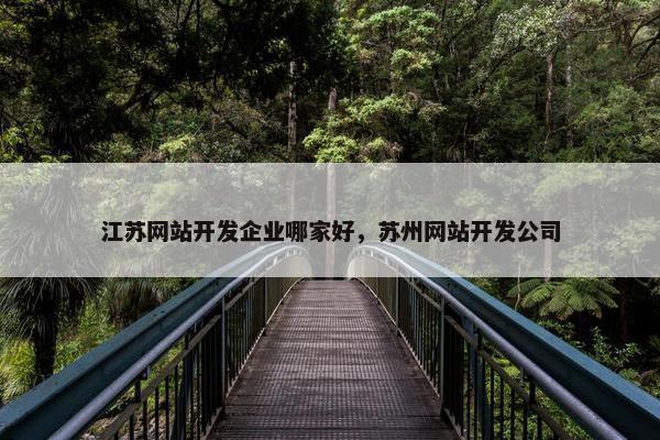 江苏网站开发企业哪家好，苏州网站开发公司