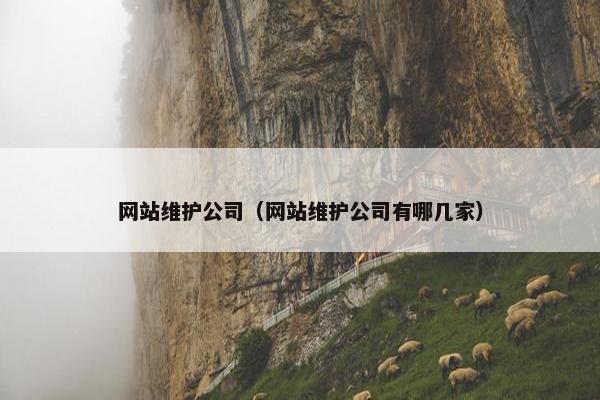网站维护公司（网站维护公司有哪几家）