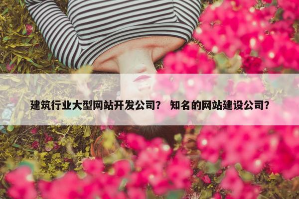 建筑行业大型网站开发公司？ 知名的网站建设公司？