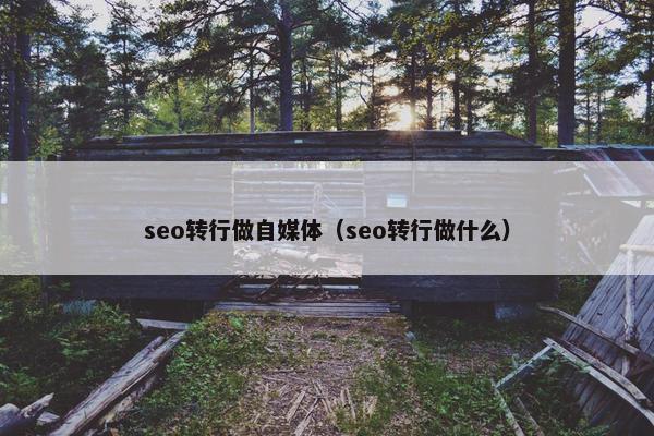 seo转行做自媒体（seo转行做什么）
