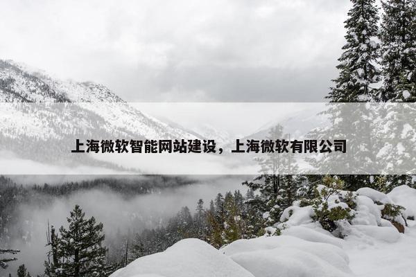 上海微软智能网站建设，上海微软有限公司