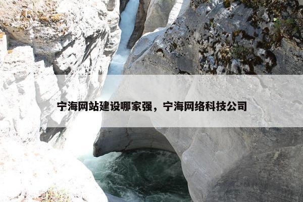 宁海网站建设哪家强，宁海网络科技公司