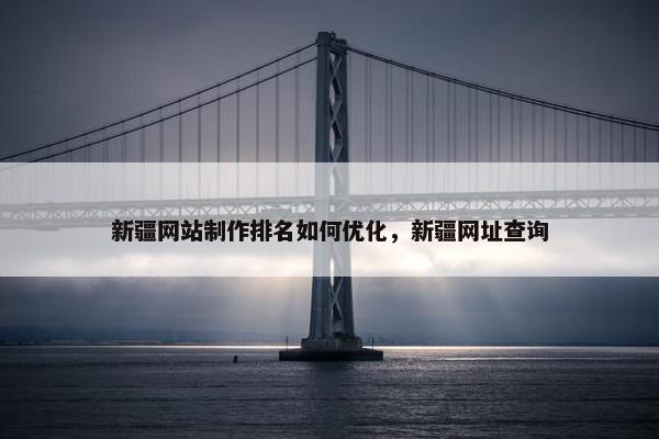 新疆网站制作排名如何优化，新疆网址查询