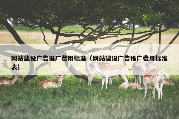 网站建设广告推广费用标准（网站建设广告推广费用标准表）