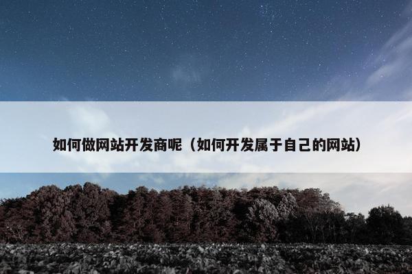 如何做网站开发商呢（如何开发属于自己的网站）