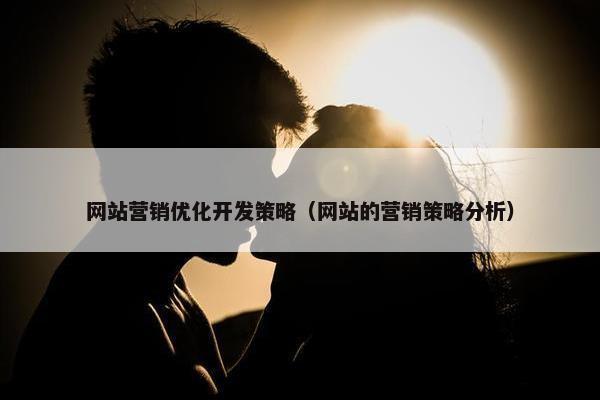 网站营销优化开发策略（网站的营销策略分析）