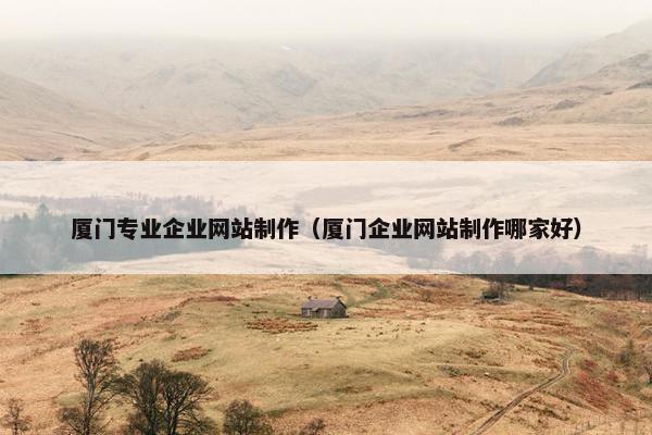 厦门专业企业网站制作（厦门企业网站制作哪家好）