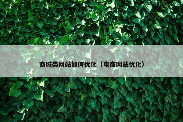 商城类网站如何优化（电商网站优化）