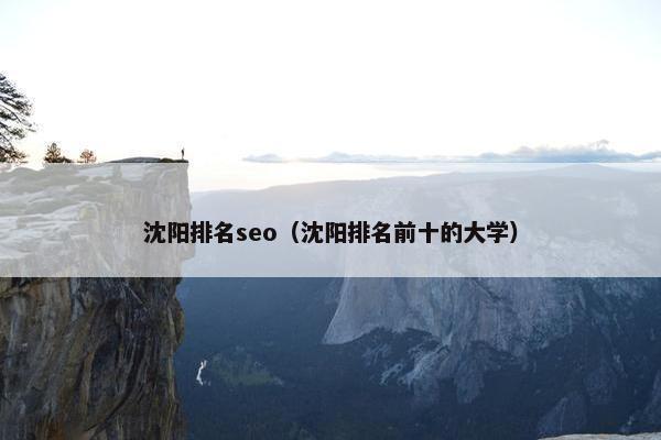 沈阳排名seo（沈阳排名前十的大学）