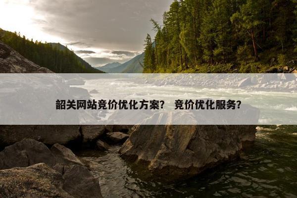 韶关网站竞价优化方案？ 竞价优化服务？