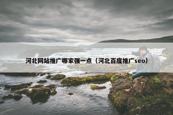 河北网站推广哪家强一点（河北百度推广seo）
