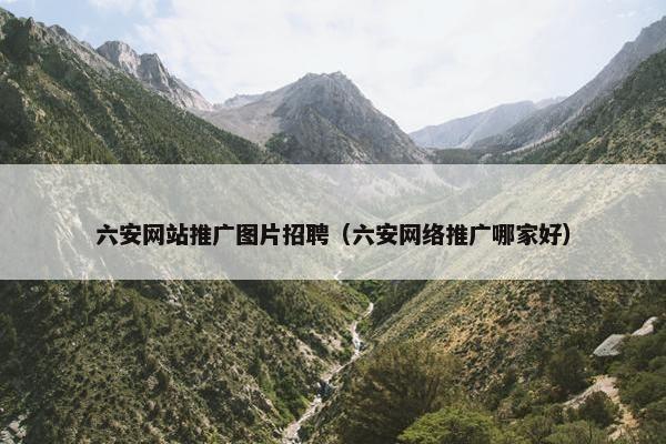 六安网站推广图片招聘（六安网络推广哪家好）