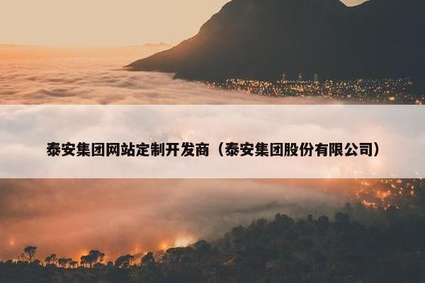 泰安集团网站定制开发商（泰安集团股份有限公司）