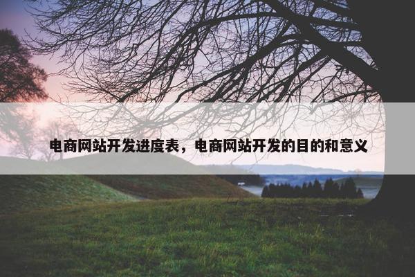 电商网站开发进度表，电商网站开发的目的和意义