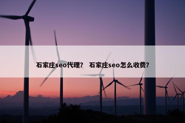 石家庄seo代理？ 石家庄seo怎么收费？