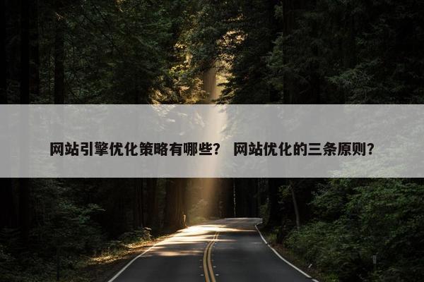 网站引擎优化策略有哪些？ 网站优化的三条原则？