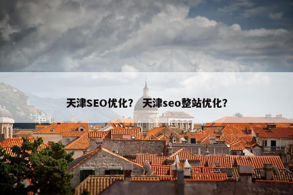 天津SEO优化？ 天津seo整站优化？