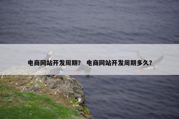 电商网站开发周期？ 电商网站开发周期多久？