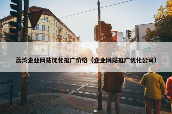 荔湾企业网站优化推广价格（企业网站推广优化公司）