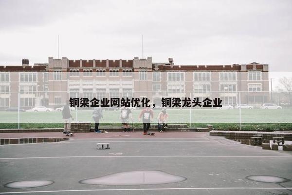 铜梁企业网站优化，铜梁龙头企业