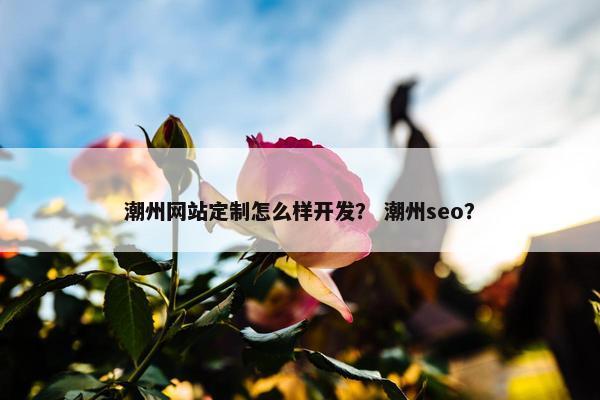 潮州网站定制怎么样开发？ 潮州seo？