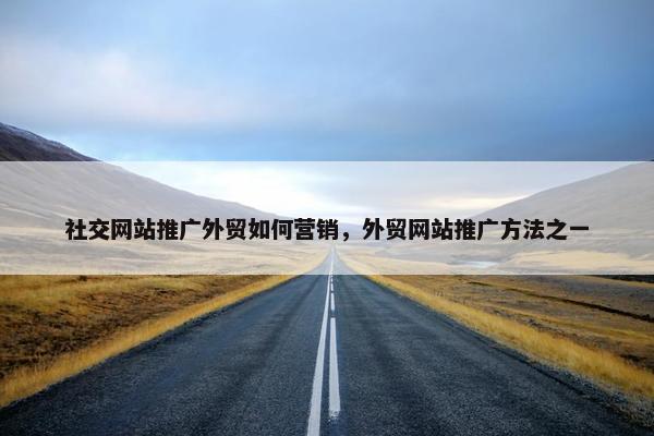 社交网站推广外贸如何营销，外贸网站推广方法之一