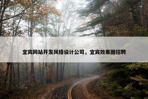 宜宾网站开发风格设计公司，宜宾效果图招聘