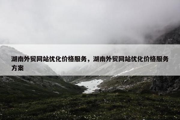 湖南外贸网站优化价格服务，湖南外贸网站优化价格服务方案