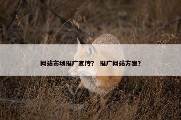 网站市场推广宣传？ 推广网站方案？