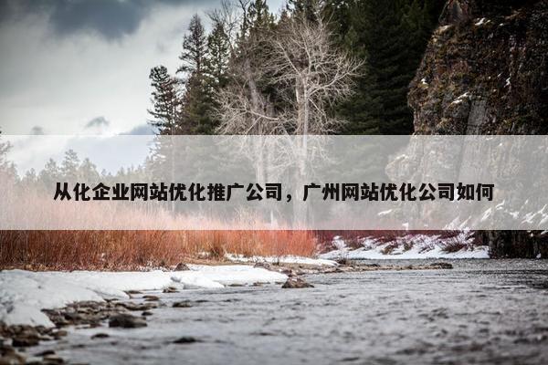 从化企业网站优化推广公司，广州网站优化公司如何