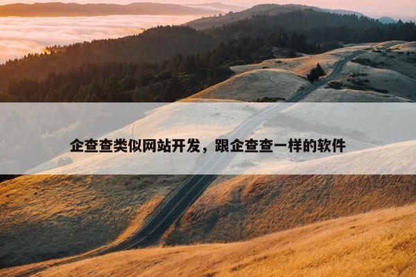 企查查类似网站开发，跟企查查一样的软件