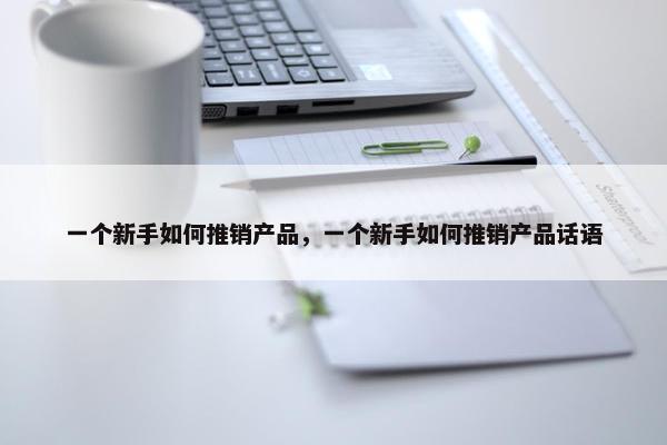 一个新手如何推销产品，一个新手如何推销产品话语