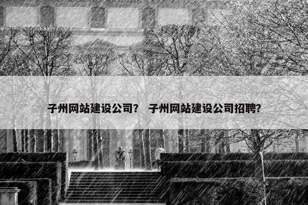 子州网站建设公司？ 子州网站建设公司招聘？