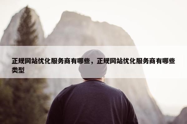 正规网站优化服务商有哪些，正规网站优化服务商有哪些类型