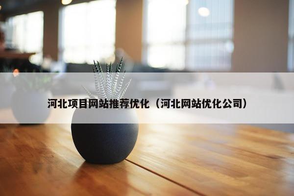 河北项目网站推荐优化（河北网站优化公司）