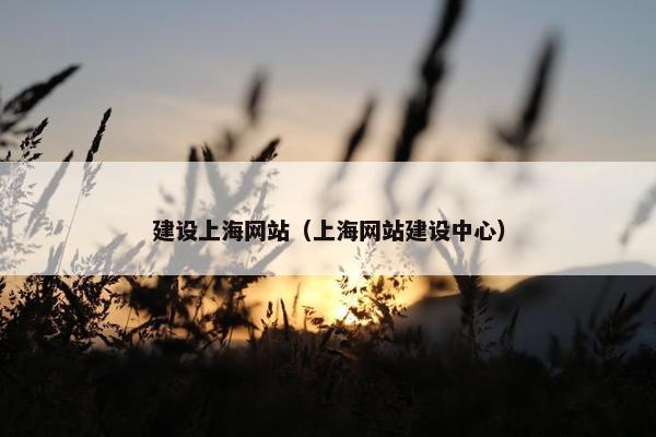 建设上海网站（上海网站建设中心）