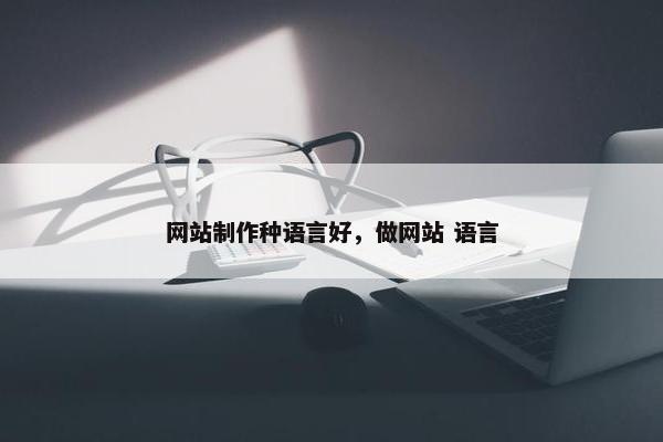 网站制作种语言好，做网站 语言