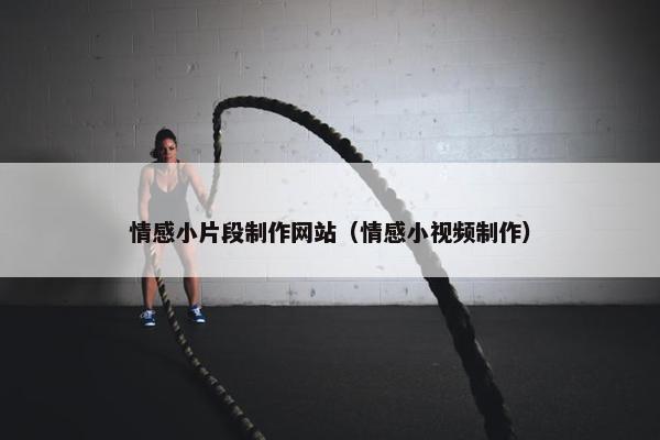 情感小片段制作网站（情感小视频制作）
