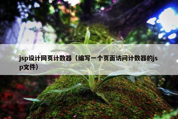 jsp设计网页计数器（编写一个页面访问计数器的jsp文件）