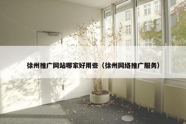 徐州推广网站哪家好用些（徐州网络推广服务）