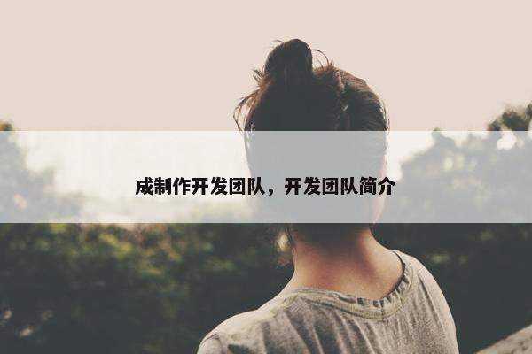 成制作开发团队，开发团队简介