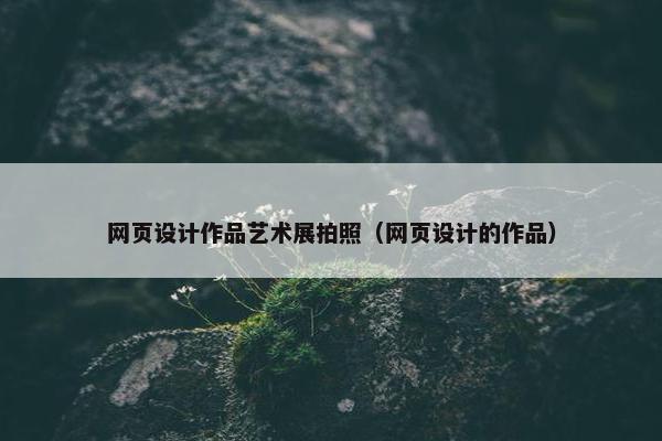 网页设计作品艺术展拍照（网页设计的作品）
