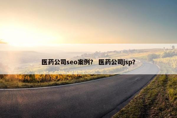 医药公司seo案例？ 医药公司jsp？