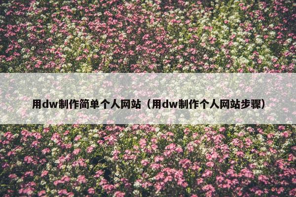 用dw制作简单个人网站（用dw制作个人网站步骤）